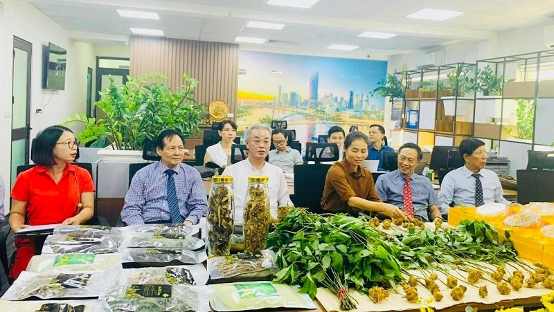 Đại Nam Sơn Group tạo bước tiến lớn trong lĩnh vực hợp tác sản xuất, chế biến sản phẩm sâm Việt Nam-2