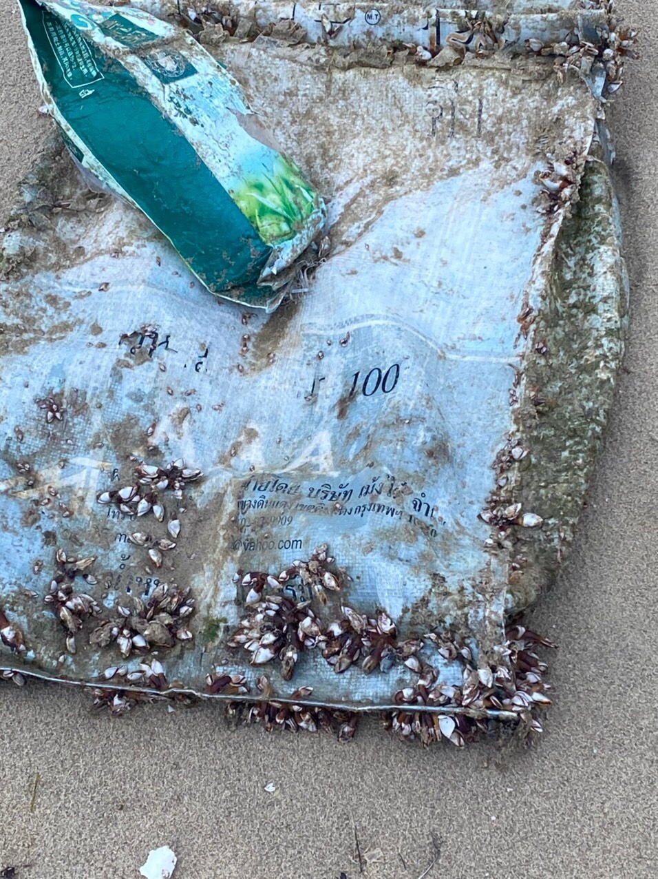 Đà Nẵng: Phát hiện 8 kg ma túy đá dạt vào bờ biển-1