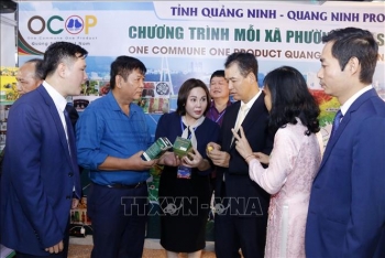 Khai mạc Lễ hội Việt Nam - Hàn Quốc năm 2022 tại Đà Nẵng-2