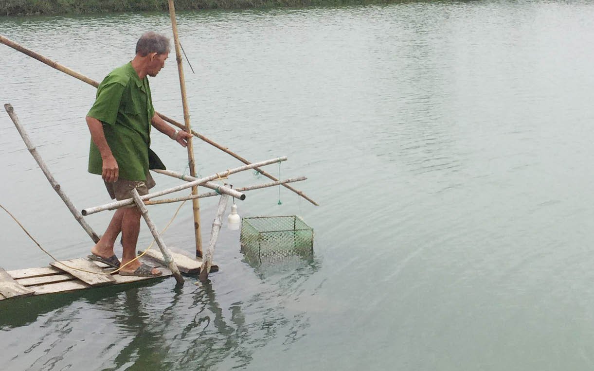 Hộ nghèo ở Phú Thọ liên kết nuôi cá lót bạt - mũi tên nhắm 2 đích-3