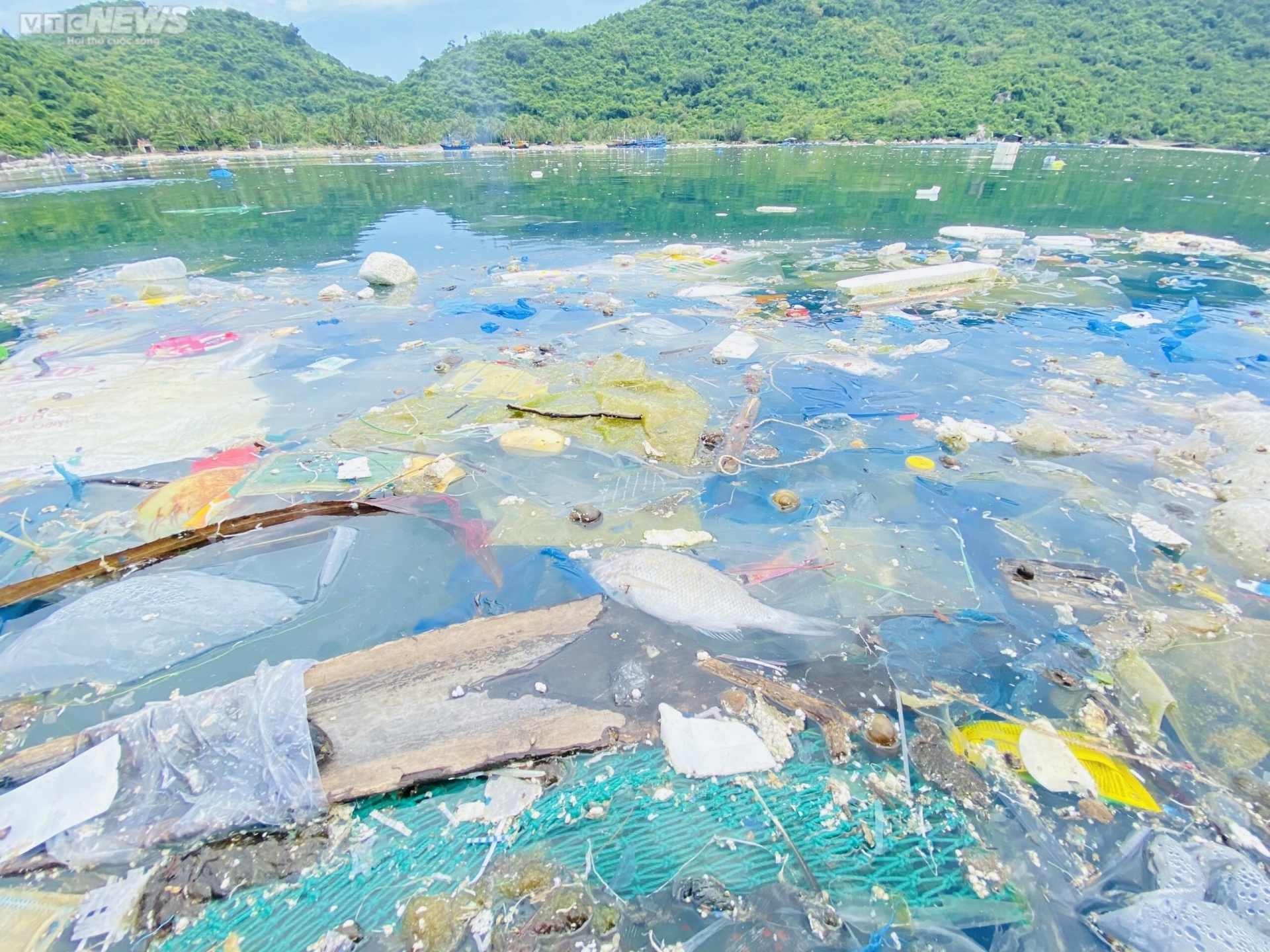 Rác thải nhựa ngập ngụa quanh các bè nuôi thuỷ sản ở vịnh Vũng Rô, Phú Yên-1