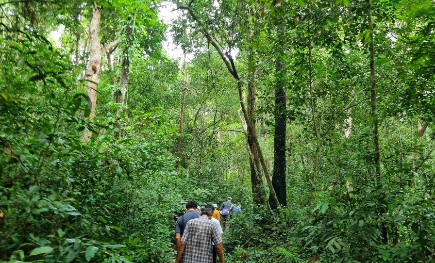 Khám phá rừng Mã Đà - lá phổi xanh của miền Đông Nam Bộ-3
