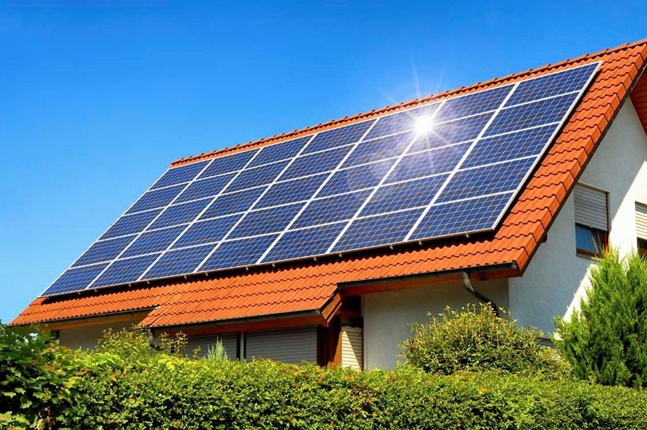 1 MW điện mặt trời áp mái được lắp đặt bằng trồng 17.000 cây xanh-1