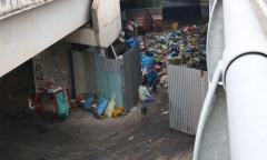 Cần Thơ: Dân kêu trời vì mùi hôi thối từ bãi tập kết rác dưới gầm cầu-cover-img