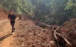 Lâm Đồng xin chuyển 7,6ha rừng tự nhiên xây đường Trường Sơn Đông-cover-img